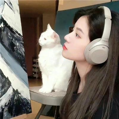窗外是冬寂