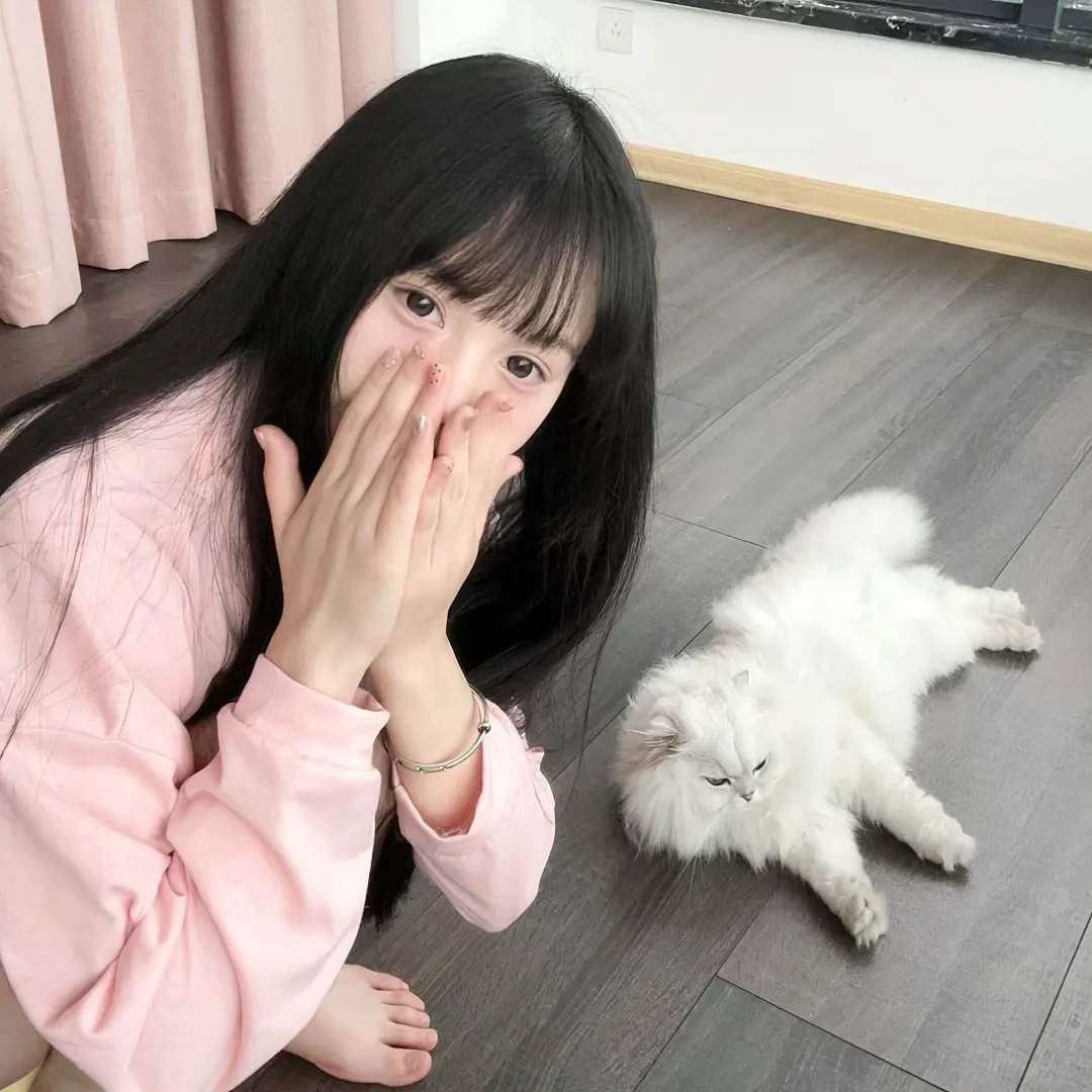 动画纪录